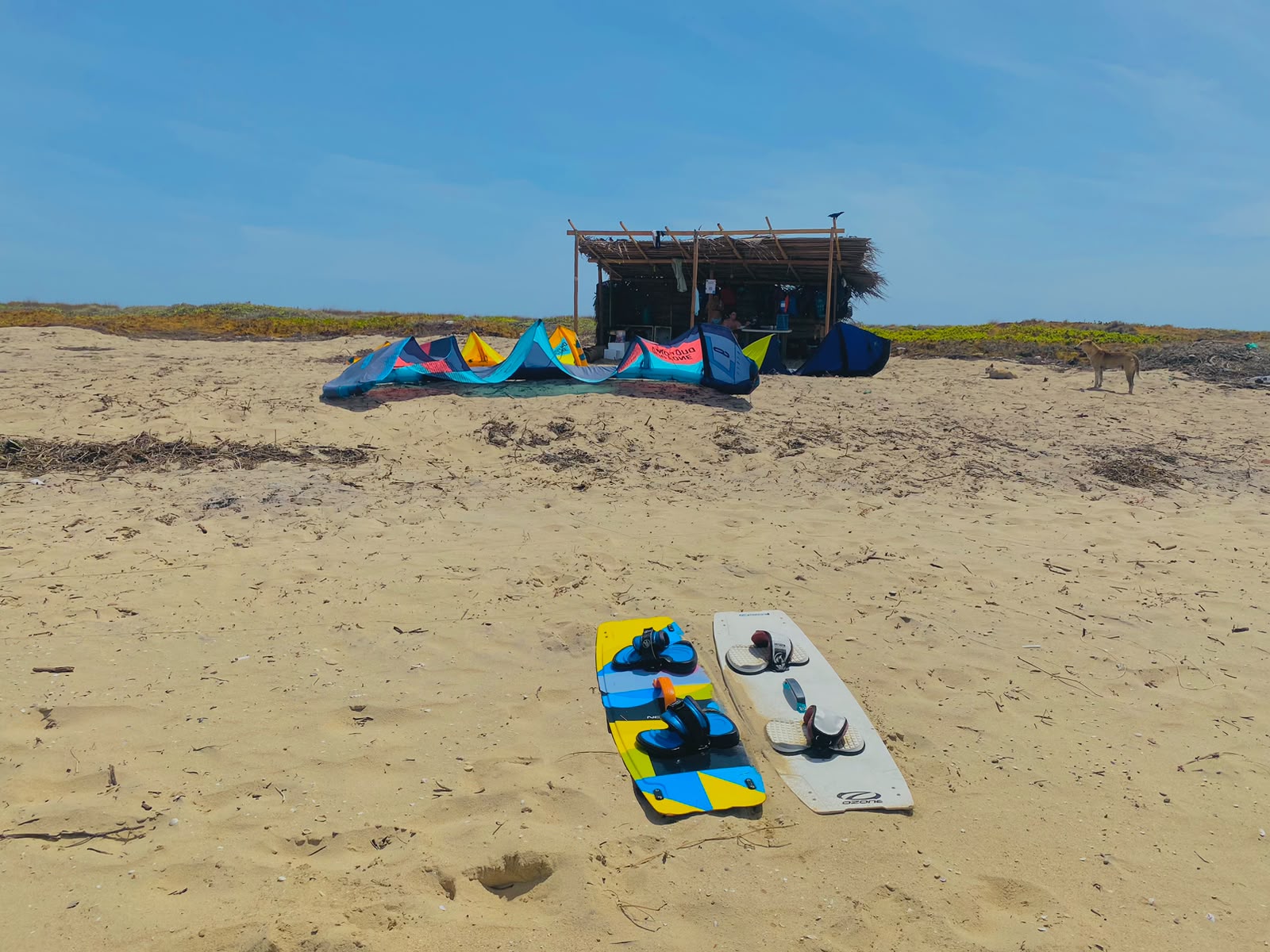 Kiteboards ready on the beach – kitesurfing in Kalpitiya, Sri Lanka (photo 4)